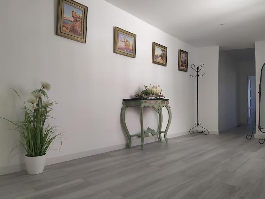 Apartmán Espectacular Piso En La Misma Plaza Del Mentidero. Cádiz Exteriér fotografie