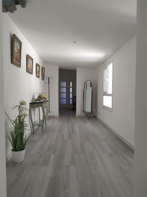 Apartmán Espectacular Piso En La Misma Plaza Del Mentidero. Cádiz Exteriér fotografie